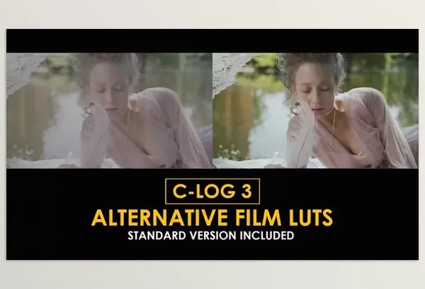 LUT Pack – C Log3 Alternative Film and Standard LUTs by Playground_Studio – Download 50930773