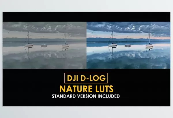 LUT Pack – D Log Nature Color LUTs by Playground_Studio – Download 50930941