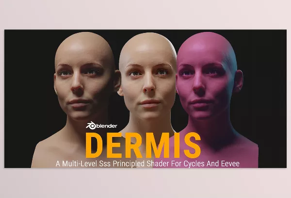 Blender Addon – Dermis by fridje – Download