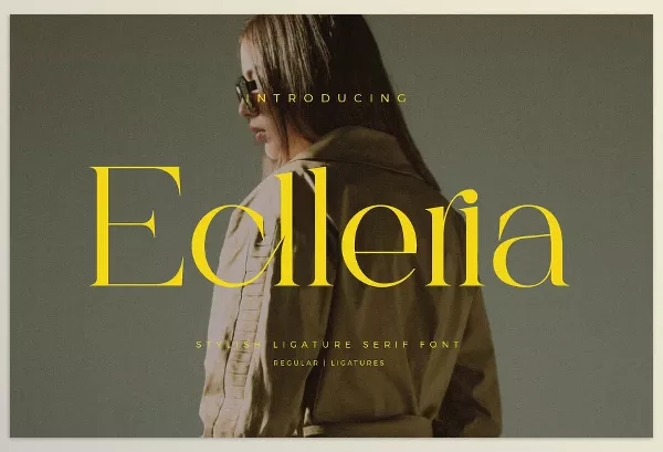 Font – Eclleria Stylish Serif Font by Aqeel_Art – Download