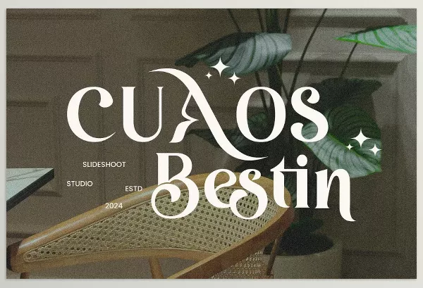 Font – Cuaos Bestin Serif Font by Slide Shoot – Download