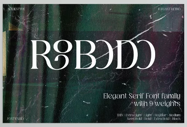 Font – Robodo Serif Font Family by AuthenType – Download