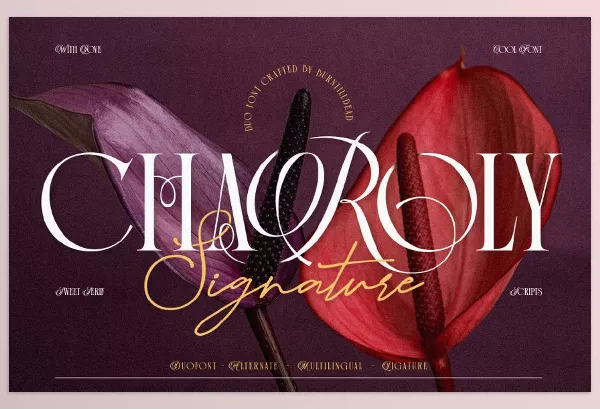 Font – Charoly Signature by Burntilldead – Download