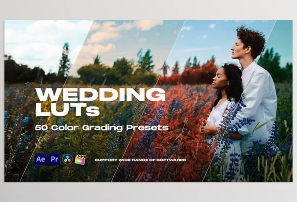 LUT Pack – Colorify Wedding LUTs by Pixflow – Download 35877709