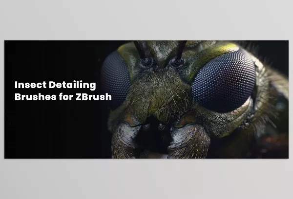 Asset – Insect Detailing Brushes for ZBrush by Zbrushguides – Download