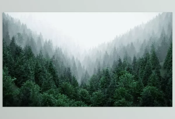 Plugin – Wolf Studio Art All Blender Collections – Download