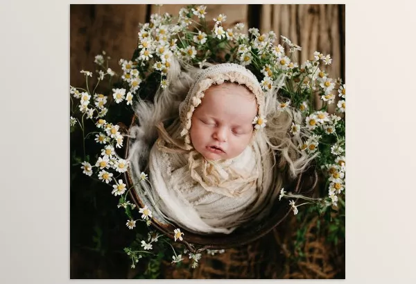 Lightroom Preset – Floral Matte LR by Twig and Olive – Download