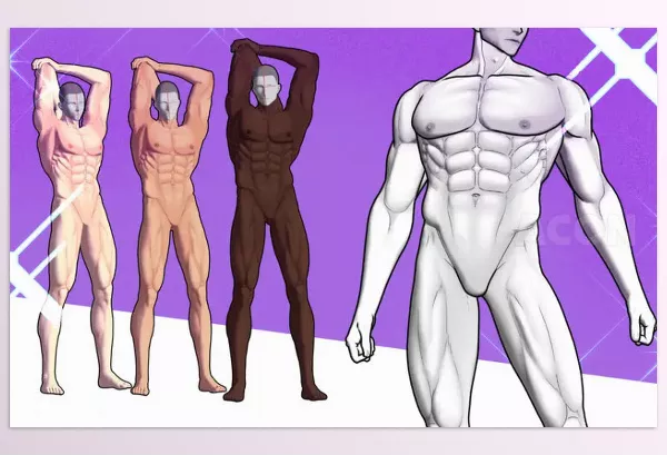 Asset – 3D Buff Man A2 by Acon3D – Download