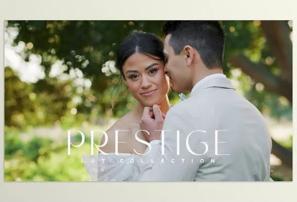 Lightroom Preset – Prestige by GAMUT – Download