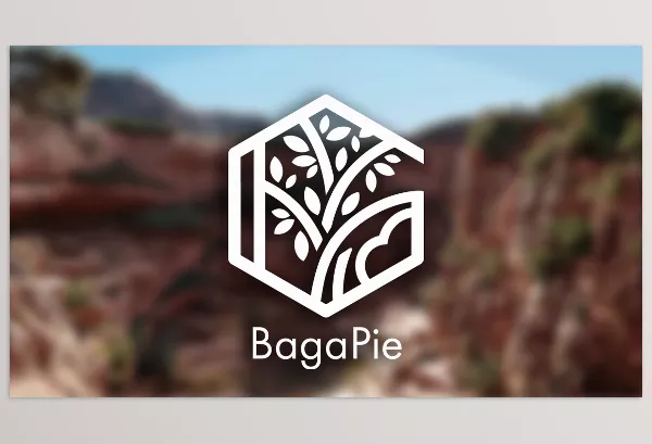 Blender Addon – Bagapie Assets by antoine bagattini – Download