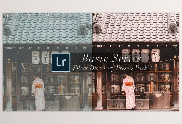 Lightroom Preset – Basic Silver Discovery Lightroom Presets by Leica Review – Download