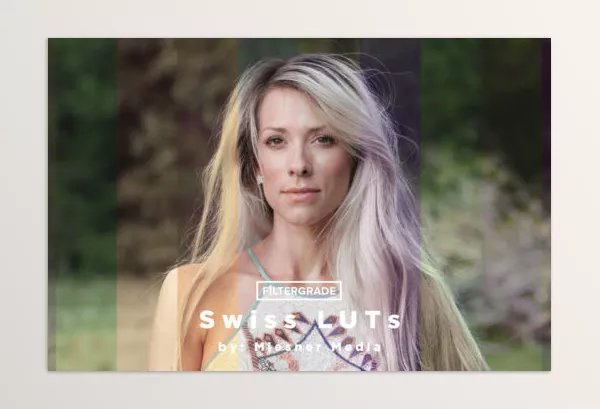 LUT Pack – Theo Miesner Swiss Video LUTs by FilterGrade – Download
