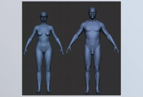 Plugin – Pro Male and Female Basemesh 45K by 3dcharacter – Download