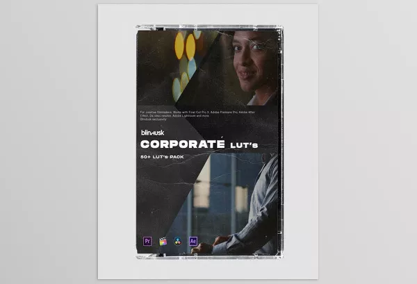 Lightroom Preset – Corporate LUTs by Blindusk – Download