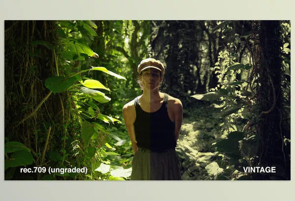 LUT Pack – Creative Filmmaking Luts by Danny Gevirtz – Download