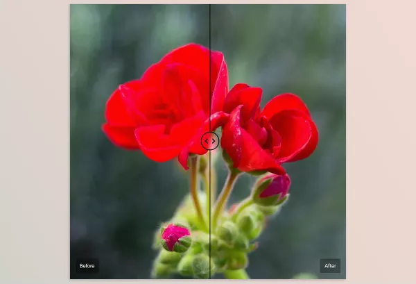 Lightroom Preset – The Base Pack for Adobe by Cobalt Image – Download