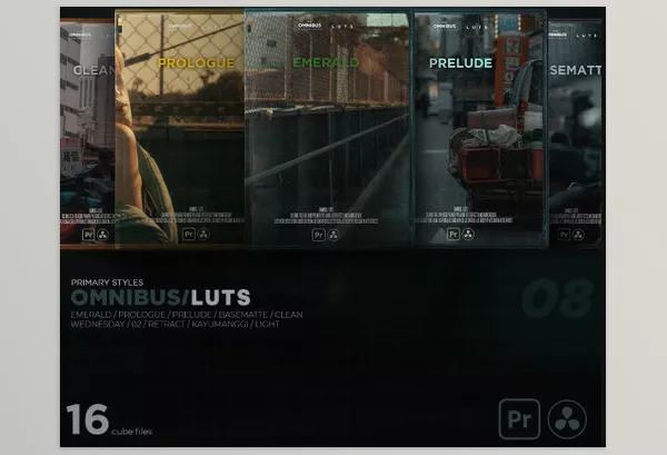 LUT Pack – Omnibus LUTS by Benj Villena – Download