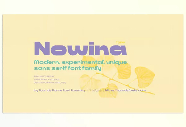 Font – Nowina Font Family by Tour De Force – Download
