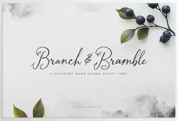 Font – Branch and Bramble Calligraphy Font by Callie Rian & Co. – Download