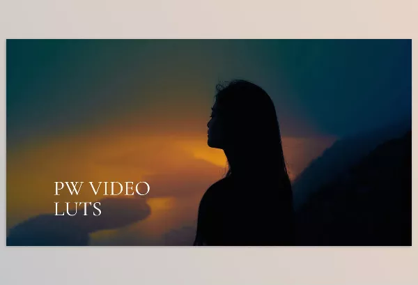 LUT Pack – PW VIDEO LUTS by Polina Washington – Download