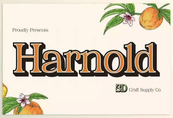 Font – Harnold 3D Font by Craft Supply Co. – Download
