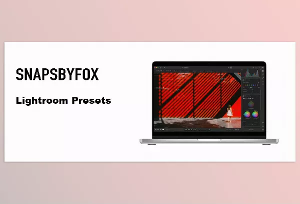 Lightroom Preset – Lightroom Presets by Snapsbyfox – Download