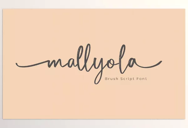 Font – Mallyola Brush Script Font by NTC Graphic – Download