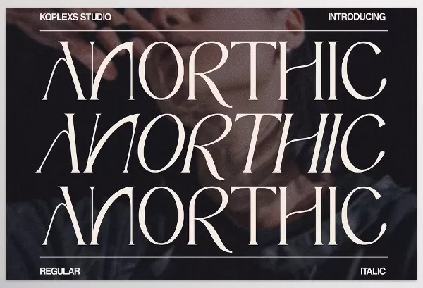 Font – Anorthic Modern Serif Font by Koplexs Studio – Download