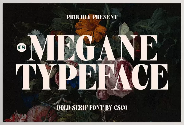 Font – CS Megane Bold Font by Craft Supply Co. – Download