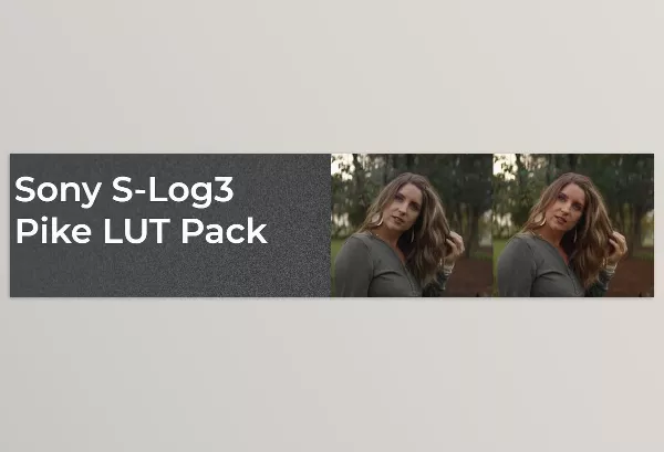 LUT Pack – Sony S Log3 Pike LUT Pack by Dslrvideoshooter – Download
