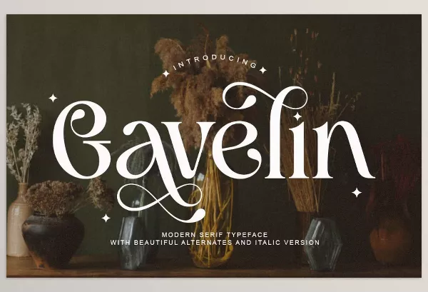 Font – Gavelin Luxury Serif Font by Say Studio – Download