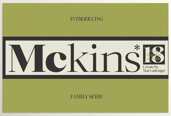 Font – Mckins Family Serif Font by Marvadesign – Download