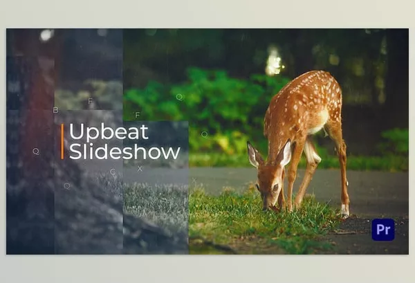 Asset – Upbeat Slideshow by Chuckwalla – Download 57727379