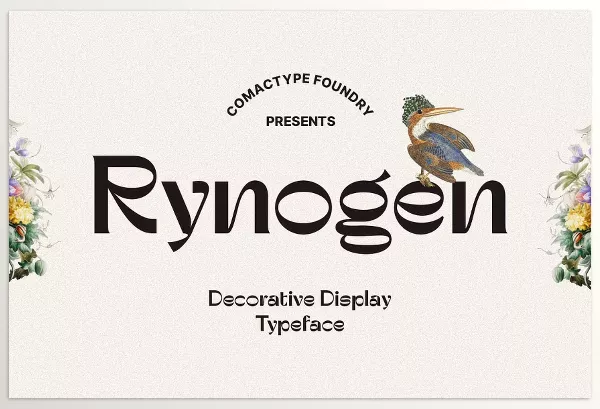 Font – Rynogen Decorative Typeface by Comactype Foundry – Download