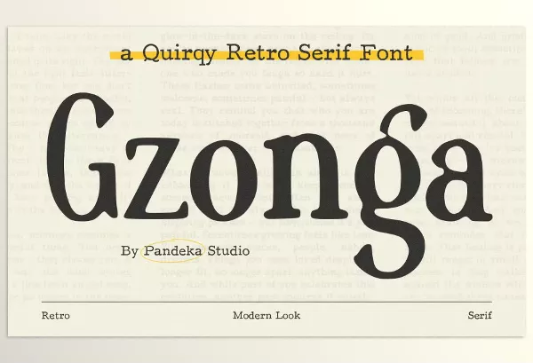 Font – Gzonga Retro Charm Serif by Pandeka Studio – Download