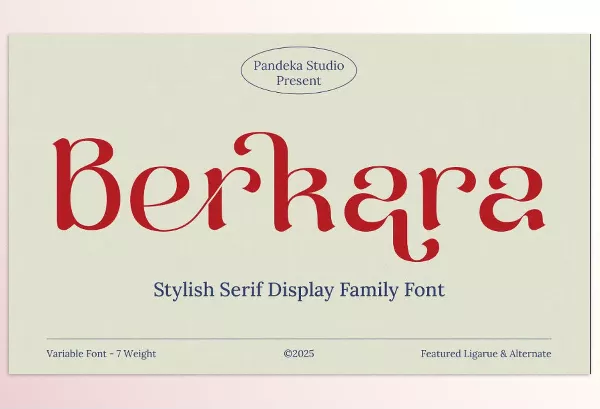 Font – Berkara Stylish Serif Display by Pandeka Studio – Download