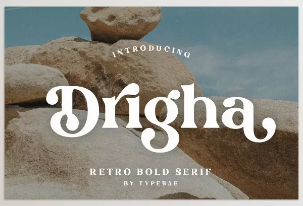 Font – Drigha Stylish Serif Font by Typebae – Download