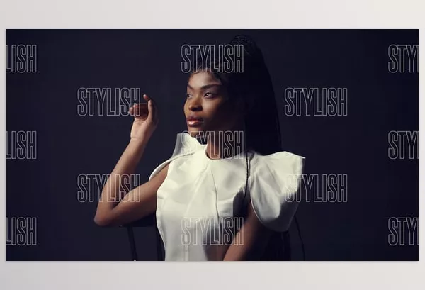 Asset – Slideshow Stylish Intro by kalimanstudio – Download 52659234