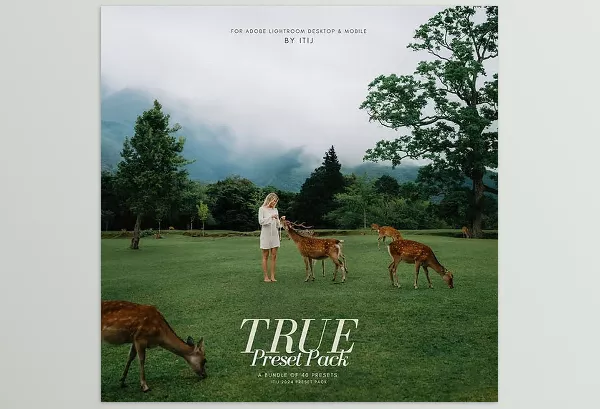 Lightroom Preset – True Preset Pack by Itijarve – Download