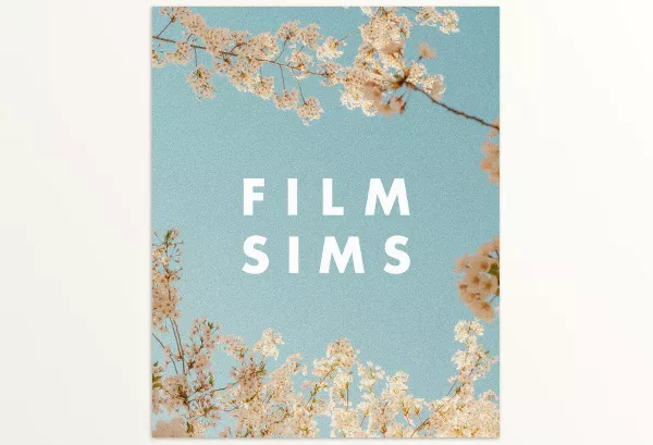 Lightroom Preset – AV FILM SIMS BUNDLE (4 PACKS) by Media – Download