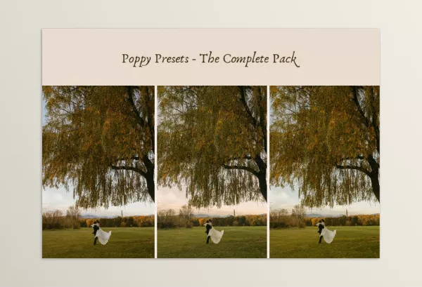 Lightroom Preset – Poppy Presets Complete Pack by Ashlynlee – Download