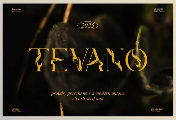 Font – Tevano Modern Unique Serif Font by Ermedia Studio – Download