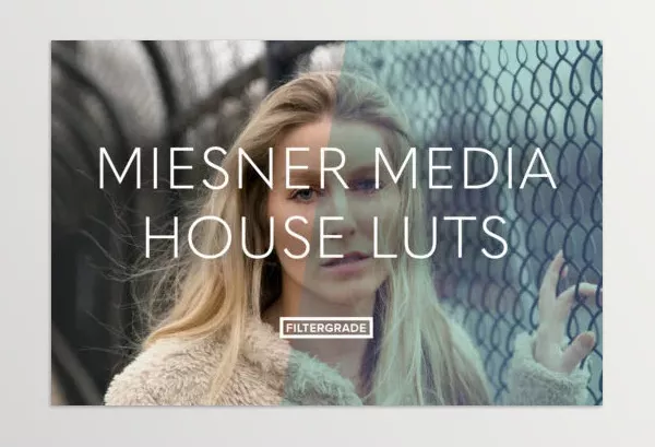 LUT Pack – Meisner Media House Luts by Miesner Media – Download