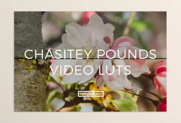 LUT Pack – Chasitey Pounds Video LUTs by Chasitey Pounds – Download