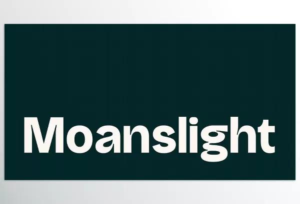 Font – Moanslight Modern Grotesque by Holyline Design – Download