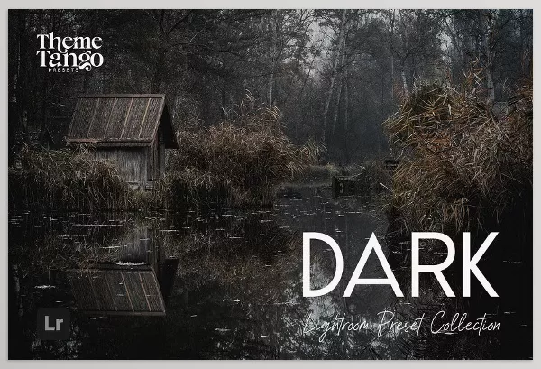 Lightroom Preset – 14 Dark and Moody Lightroom Presets by ThemeTango – Download