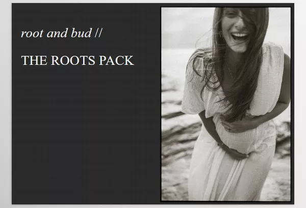 Lightroom Preset – THE ROOTS PACK by Root and bud – Download